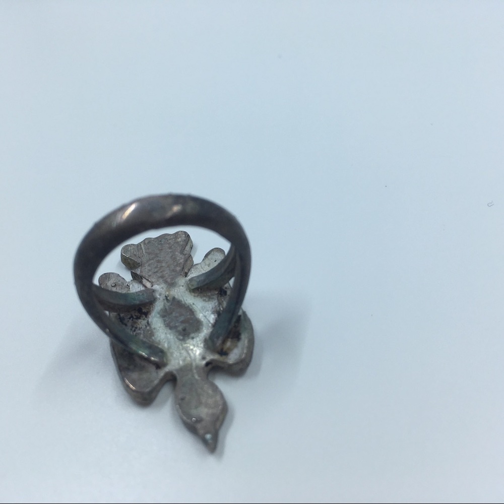 Bird Ring! - Picture 2 of 7